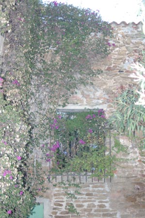 FranceA (131)