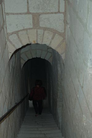 FranceB (136)