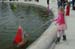 France4 (15)